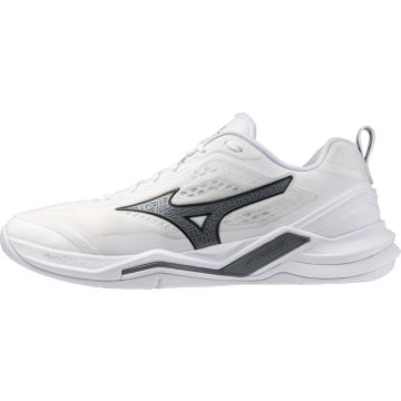 MIZUNO SPORT WAVE STEALTH ELITE Handball & Unihockey - Hommes